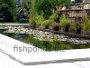 How to build a fish pond
