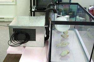 Aquarium chiller