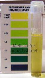 Ammonia level 0ppm