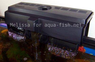 Aquarium filtration system