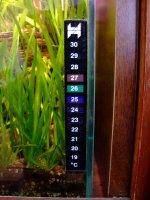 Aquariumsthermometer