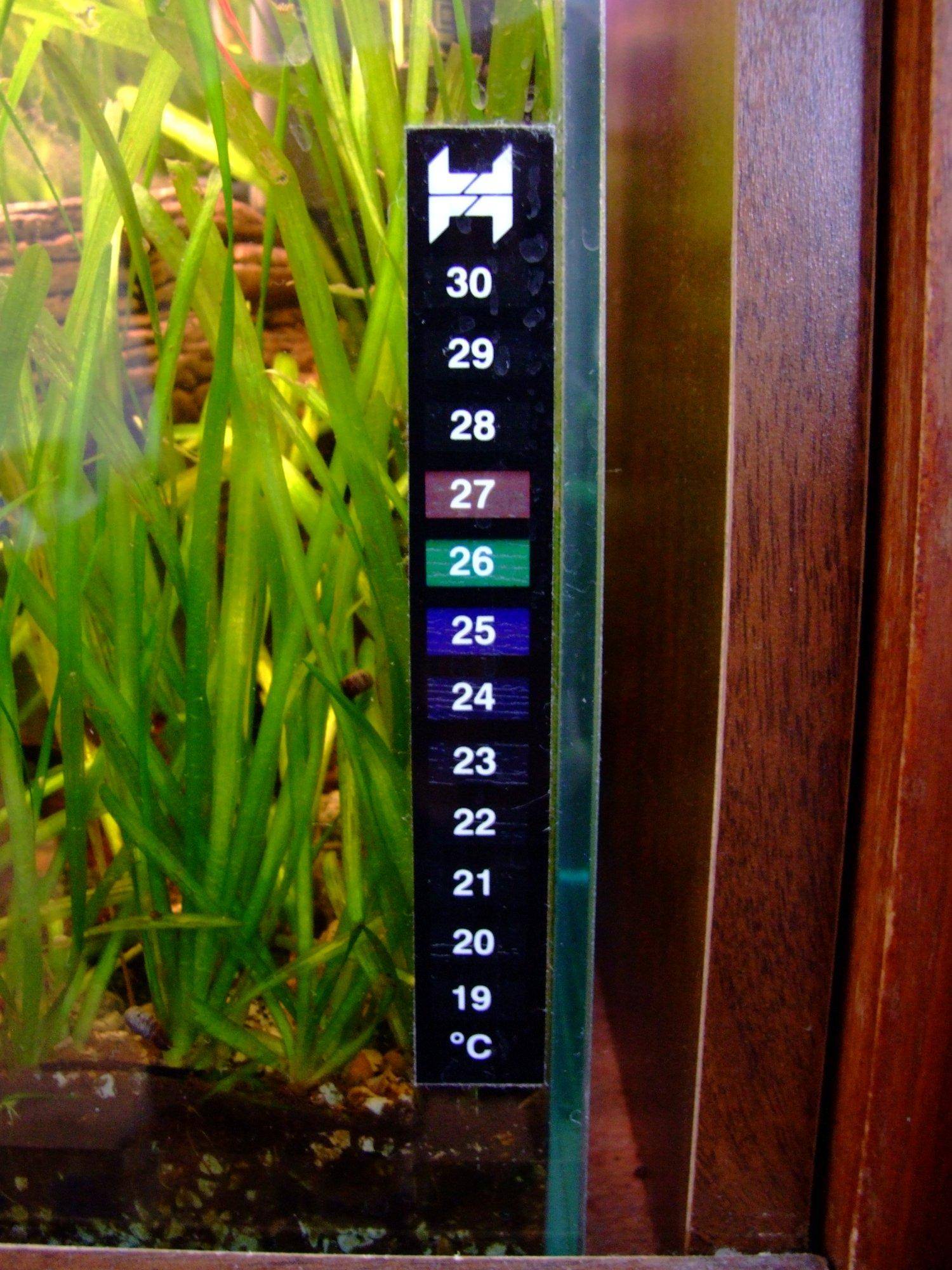 How To Read Regent Aquarium Thermometer Aquarium Views