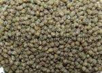 Cichlid Staple Baby Pellets