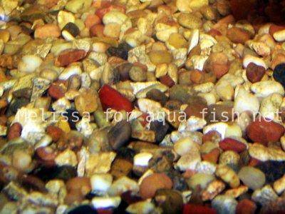 Natural aquarium gravel, picture 2