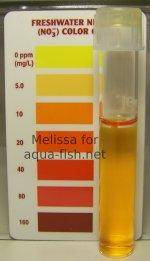 Nitrate level 5ppm