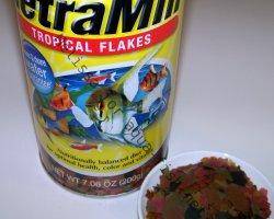 TetraMin Flakes