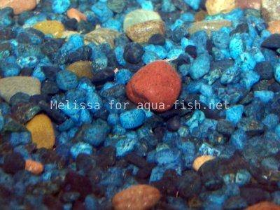 Colored aquarium gravel, picture 2