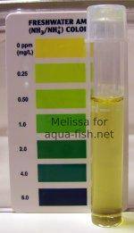 Tank B ammonia test showing 0 ppm
