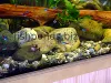 Aquarium rocks, resized image 1