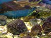 Aquarium rocks, resized image 3