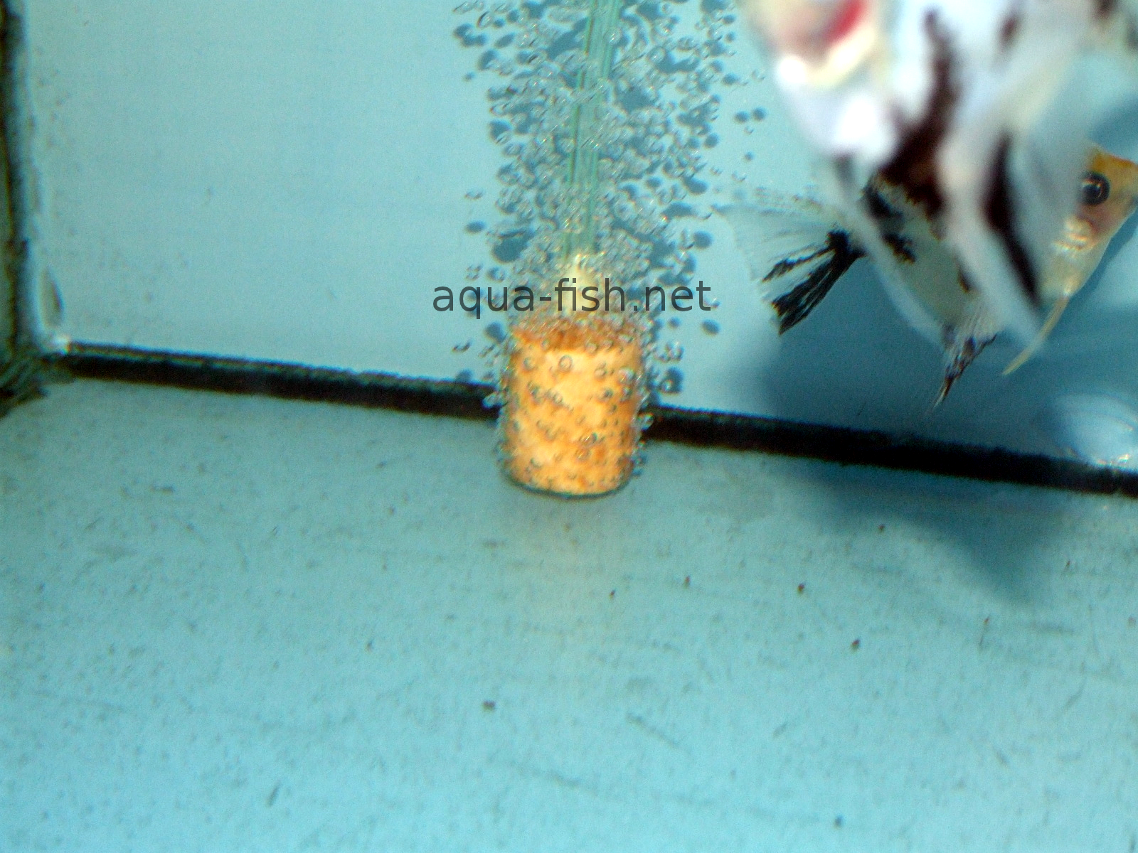 CO RODE Aquarium Aerator Air Stones Fish Tank Bubbler Ceramic Airstones Pack of 10 
