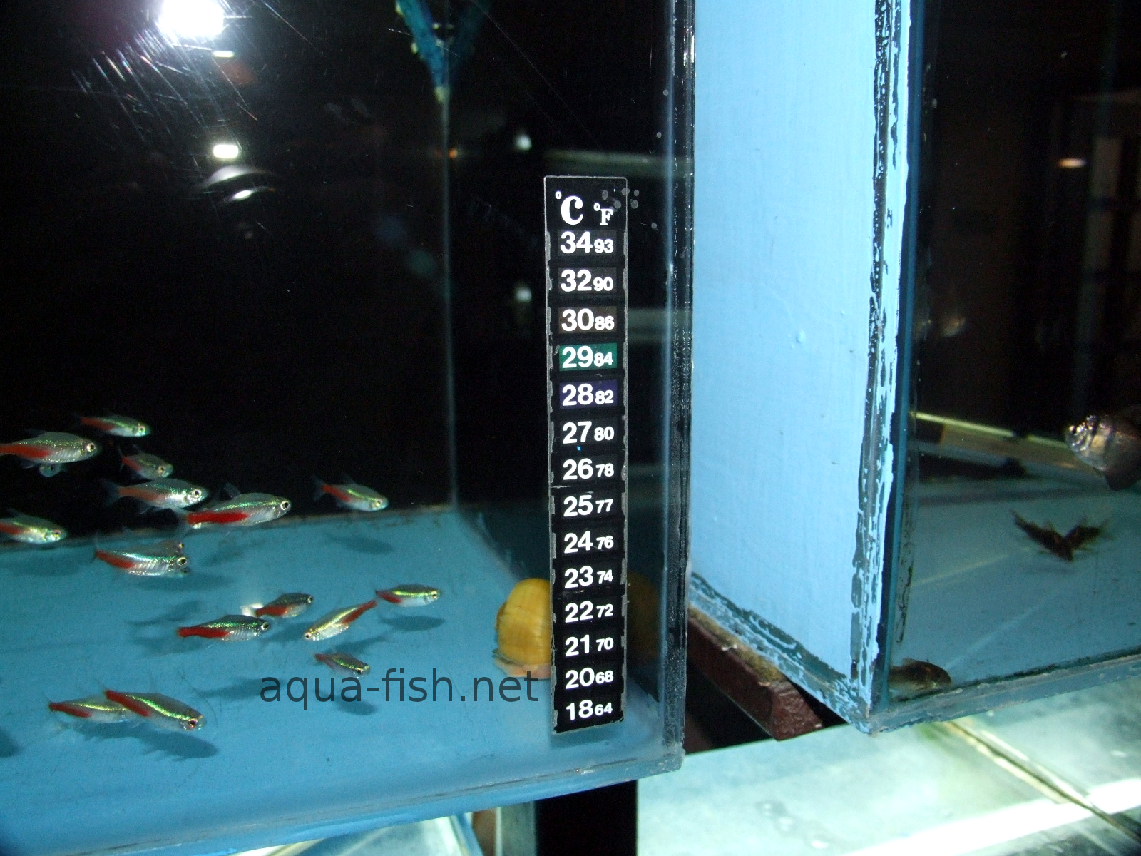 New Fish Tank Aquarium Thermometer Temperature °F Fahrenheit Sticker Stick-On 