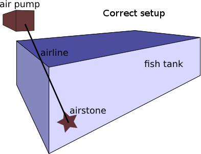 Correctly setup aquarium air stone, pump and airline
