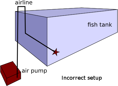 Incorrectly setup aquarium air stone, pump and airline