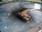 Winter - Frozen fish pond, resized image 1