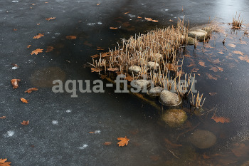Frozen garden fish pond with thin ice and fallen leaves
