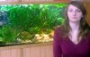 Your professional guide with aquarium plants - Susan